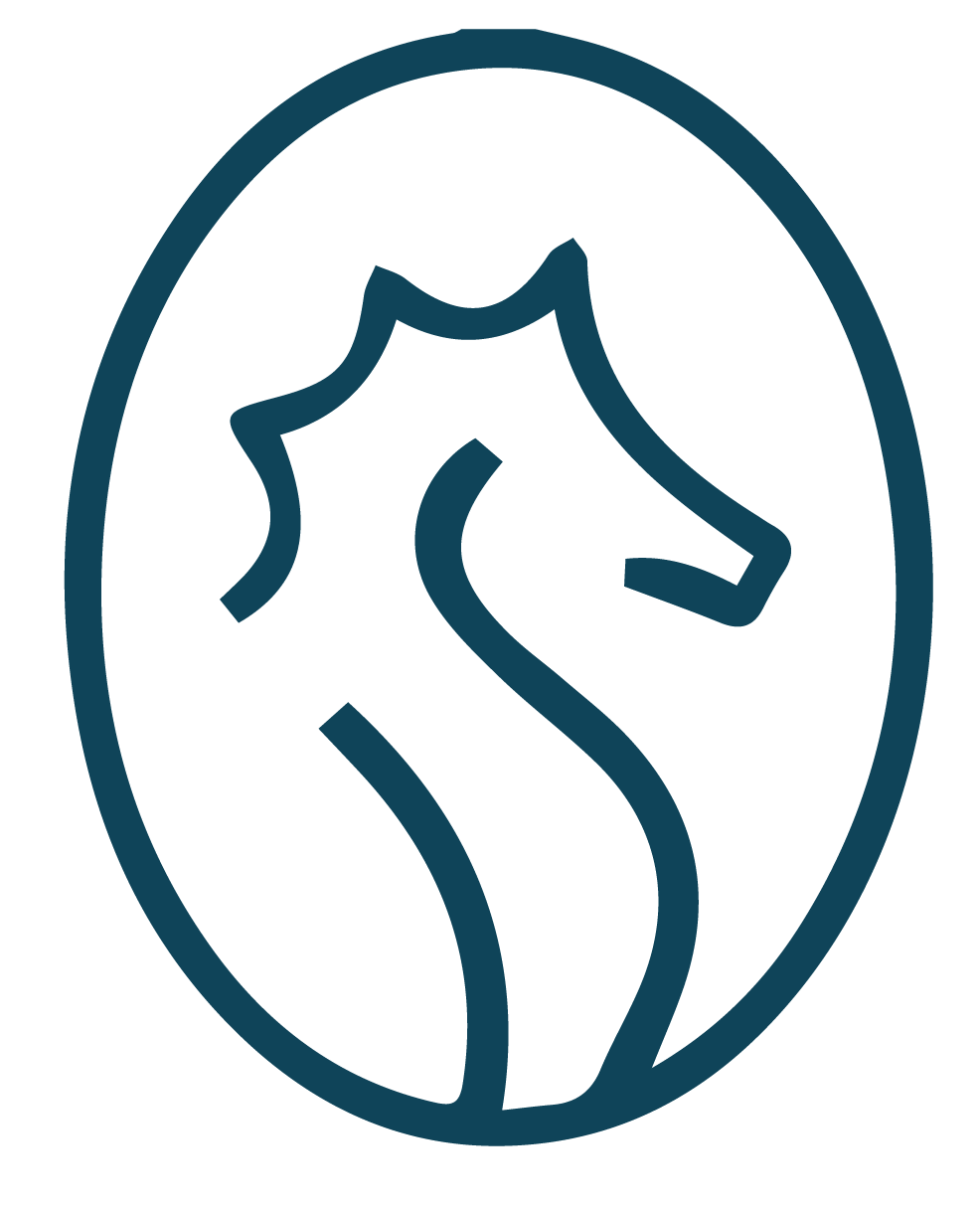 Blue Mares Logo